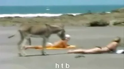 Morena amateur mexicano sex chupa la polla al aire libre en el coche